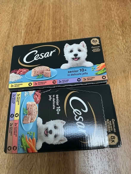Photo of free Cesar Dog Food (Havant PO9) #1