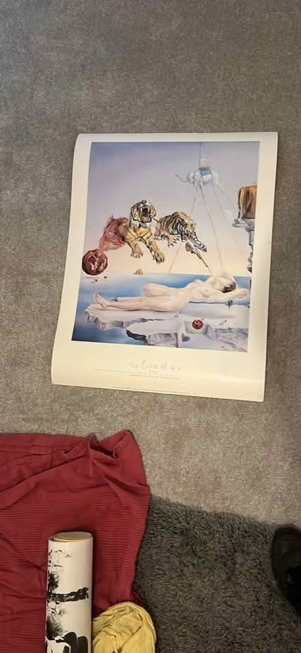 Photo of free Posters (Bloomfield BA2) #2