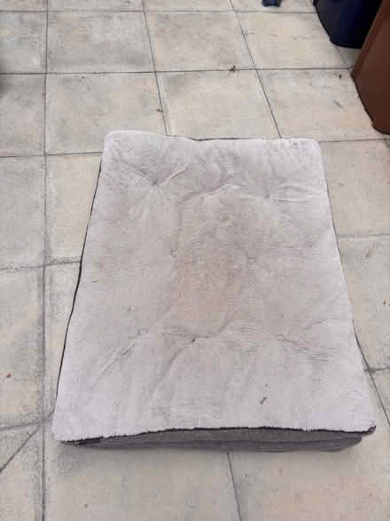 Photo of free Large dog bed (UpperHale GU9) #2