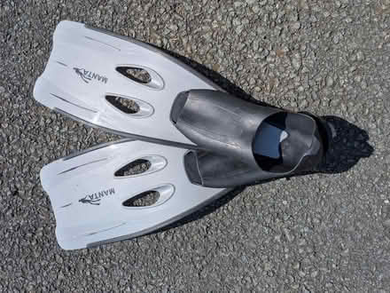 Photo of free Fins for adults size 40-41 (Nantmawr SY10) #1