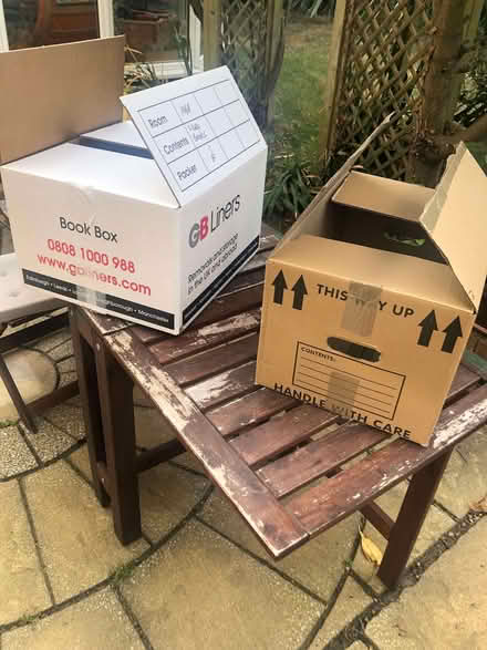 Photo of free Moving Boxes (Pebsham TN40) #1