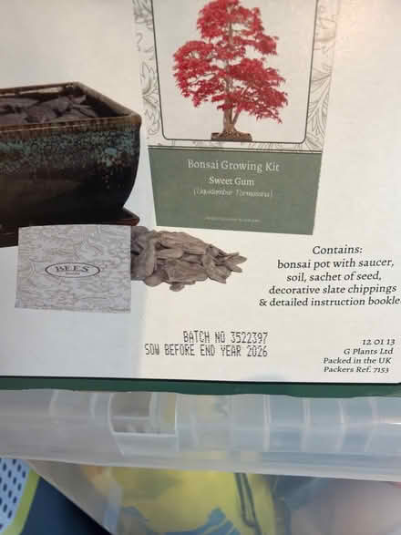 Photo of free Bonsai sowing kit (Goodnestone ME13) #2