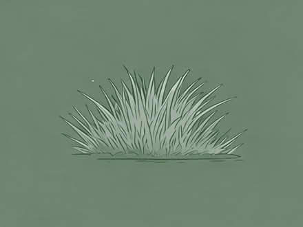 Photo of Green grass (Bieldside AB15) #1