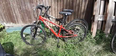 Photo of free Bikes for parts (Perivale) #2