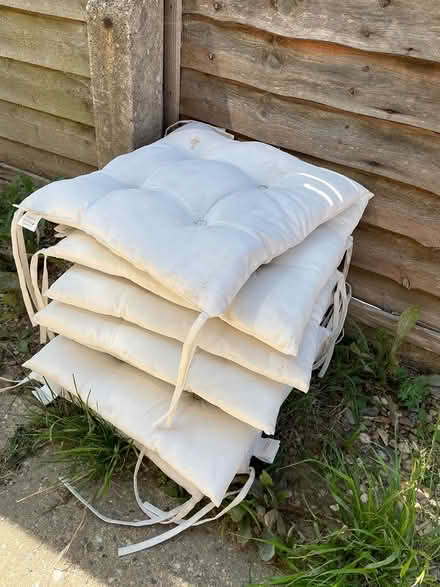 Photo of free Outdoor chair seat pads x8 (Tonbridge (north) TN10) #1