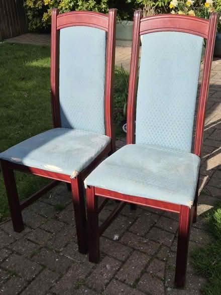 Photo of free 6 IKEA dining chairs (Wokingham south RG40) #2