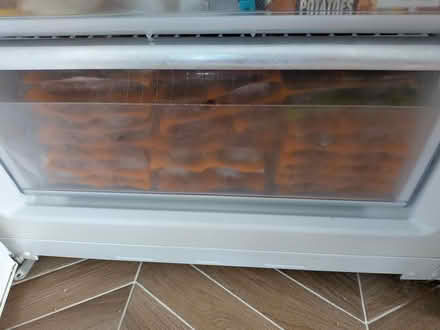 Photo of free Frozen car food (Springfield CM1) #2