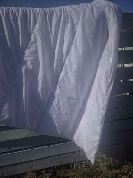 Photo of free Duvet (EH19, Bonnyrigg) #1