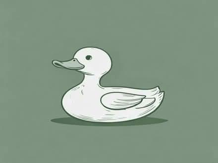 Photo of free large wooden duck, (Pleasance EH8) #1