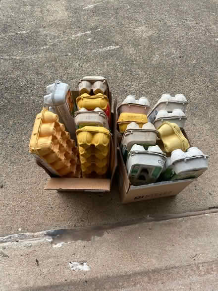 Photo of free Empty egg cartons (Manassas City) #1
