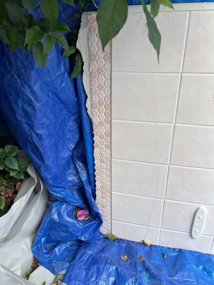 Photo of free porcelain tiles (Near Homestead & Scott) #2