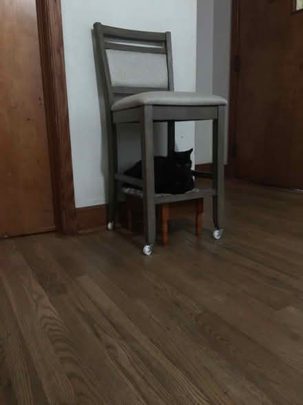Photo of free High stool, Floral wall art (Robinson & Harpersville) #1