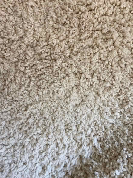 Photo of free Habitat Shaggy Rug (Wood Street Area E17) #1