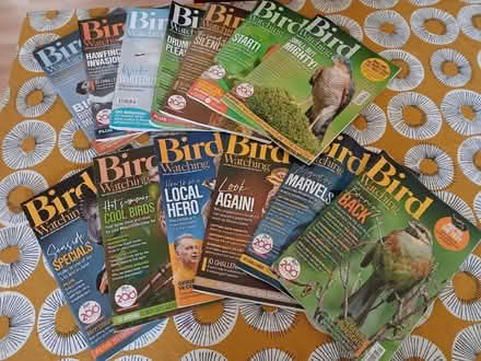 Photo of free Bird Magazines (Abingdon, OX14.) #1