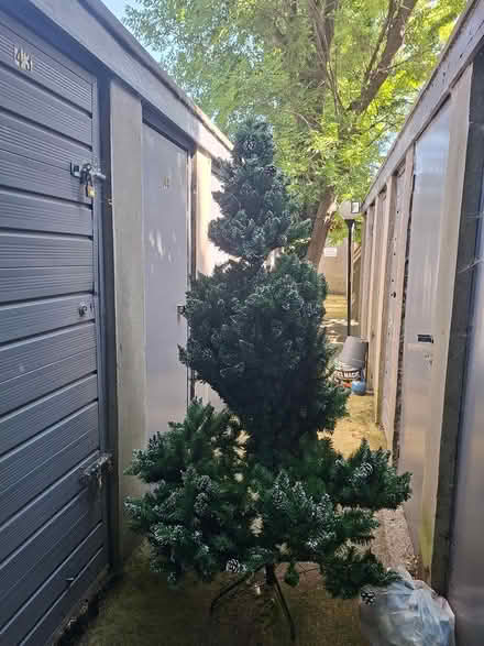 Photo of free 7ft artificial Christmas tree (Donnybrook) #1