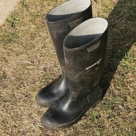 Photo of free Wellington boots, size 7, 41. (Grange Farm IP5) #3