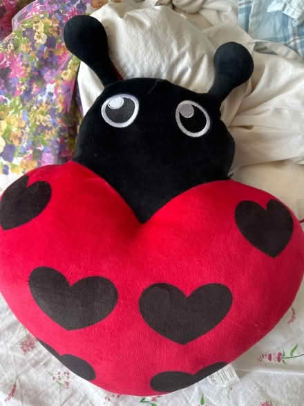 Photo of free Ladybug cuddle Warmer (Ashford TW15) #1