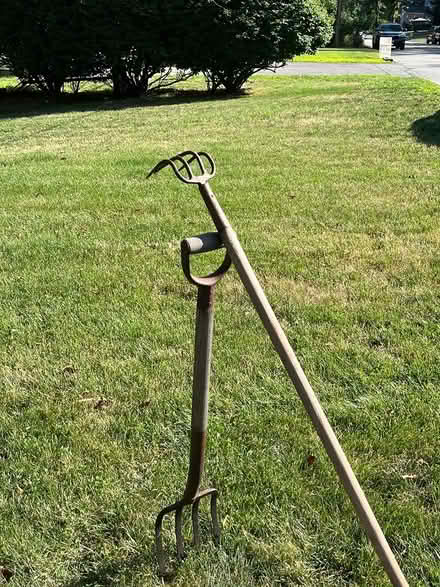 Photo of free Old gardening forks (Maynard) #1