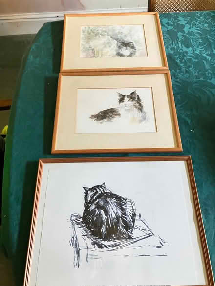Photo of free 3 cat pictures (Pant SY10) #3