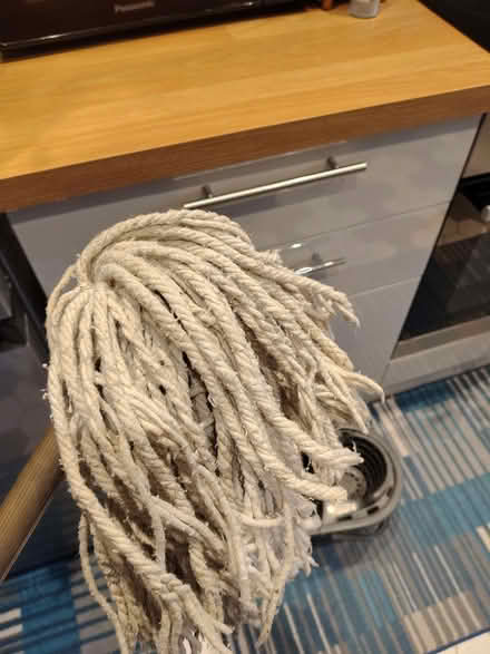Photo of free Mop and bucket (Botley OX2) #2