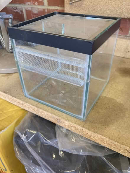 Photo of free Glass vivarium (Sandridge AL4) #1