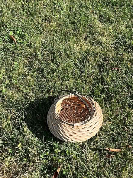 Photo of free Little basket (Maynard) #1