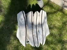 Photo of free 4 Outdoor used cushions with tears (Close to Carlingwood Mall) #1
