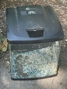 Photo of free Aquarium (dog not included!) (farmington hills) #2