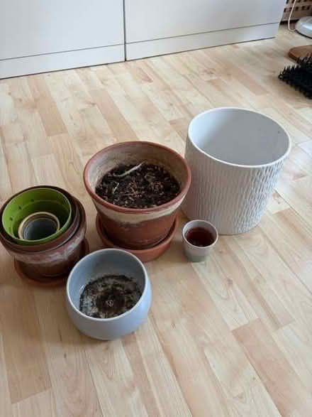 Photo of free Plant pots - different sizes (Chelsea SW10) #2