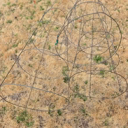 Photo of free Tomato cages (Mountain View) #1
