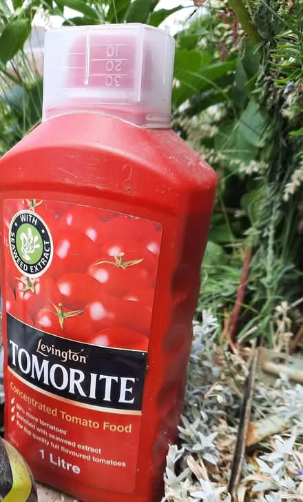 Photo of free Unopened bottle Tomorite (Hollingdean BN1) #1