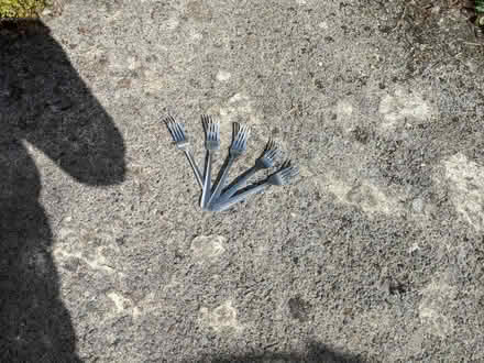 Photo of free 5 Forks (Kendal LA9) #1