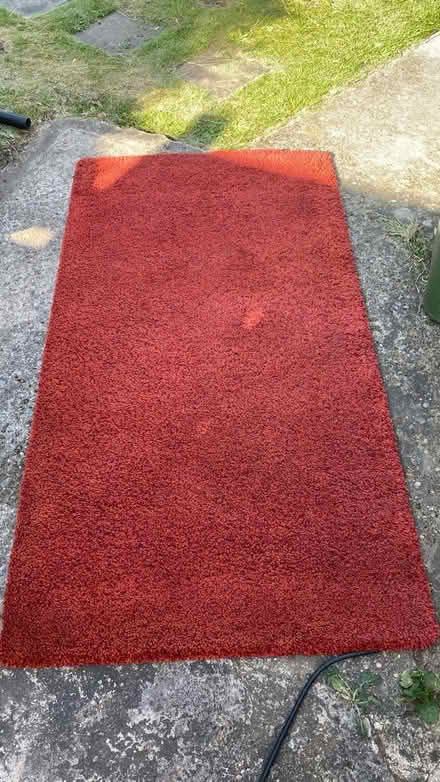 Photo of free Rug / thick (M16 9 WT) #2