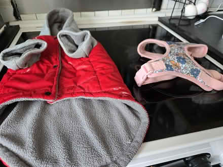 Photo of free Dogs accessories (Lime Gate OL8) #1