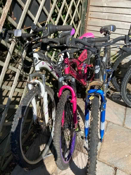 Photo of free 3 mountain bikes in need of TLC (Cell Barnes lane AL1) #1