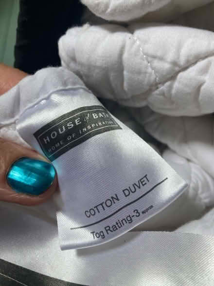 Photo of free Cotton summer quilt (Corstorphine EH12) #3