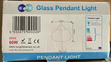 Photo of free Glass Pendant Light (M16 9 WT) #2