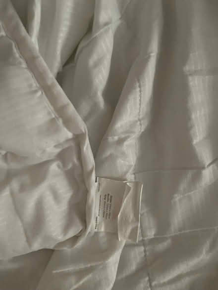 Photo of free Mattress protector/topper (Coleridge Ward CB1) #3