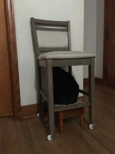 Photo of free Floral Wall Art & High Stool (Robinson & Harpersville) #2