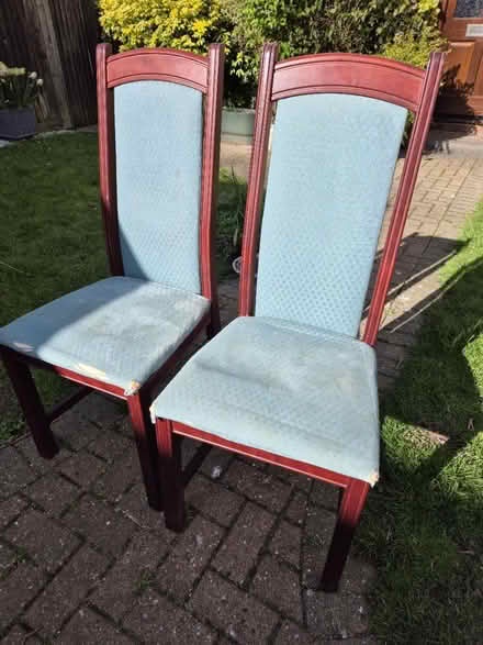 Photo of free 6 IKEA dining chairs (Wokingham south RG40) #3