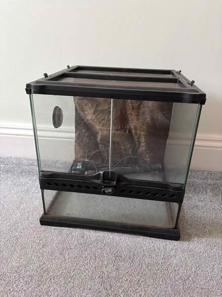 Photo of free Terrarium (Billericay CM11) #1