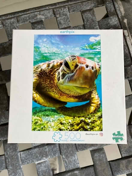 Photo of free Puzzle of turtle (Downtown Mountain View) #1