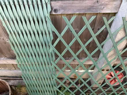 Photo of free Light wooden trellis (Chippenham SN14) #1