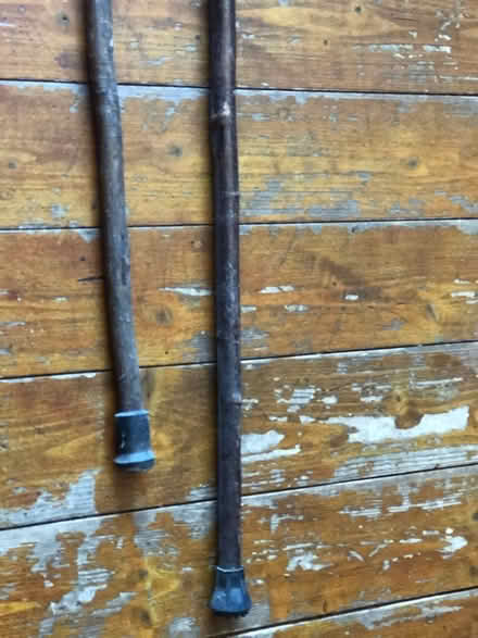 Photo of free Wooden walking sticks (Gracemount EH17) #3