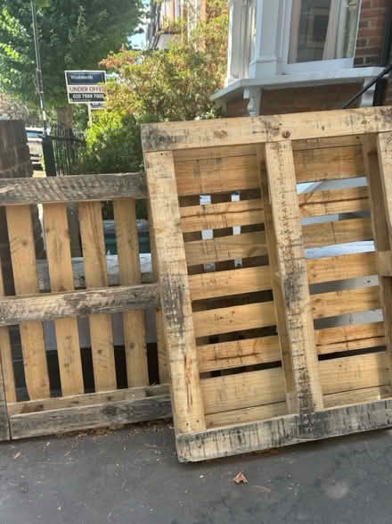 Photo of free 2 New pallets (Highbury N5) #1