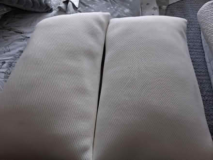 Photo of free Pillows (Freshbrook SN5) #2