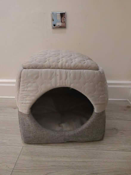 Photo of free Cat bed (Wandsworth SW18) #1