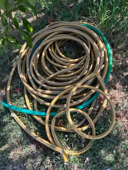 Photo of free Host pipe (Gaurlford WR14) #1