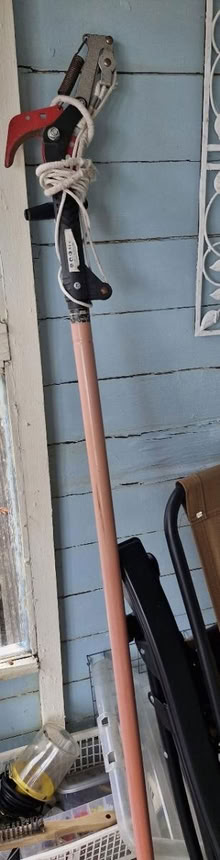 Photo of free Loppers (Chaddesden DE21) #1