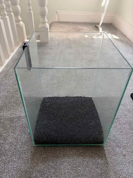 Photo of free Terrarium (Billericay CM11) #3